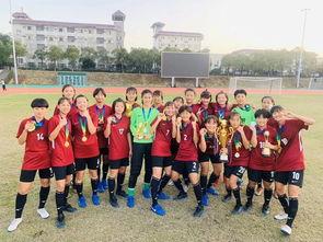 保定一中爆料新闻,揭秘校园风云事件背后的真相